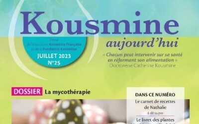 Revue AKF & Fondation n°25 – (Juillet 2023)